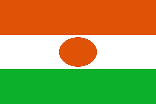 Niger Flagge