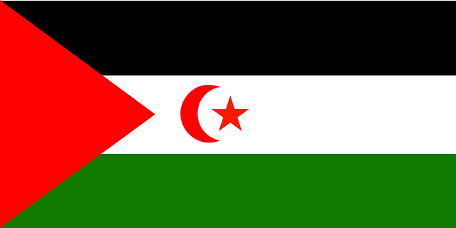 West Sahara Flagge