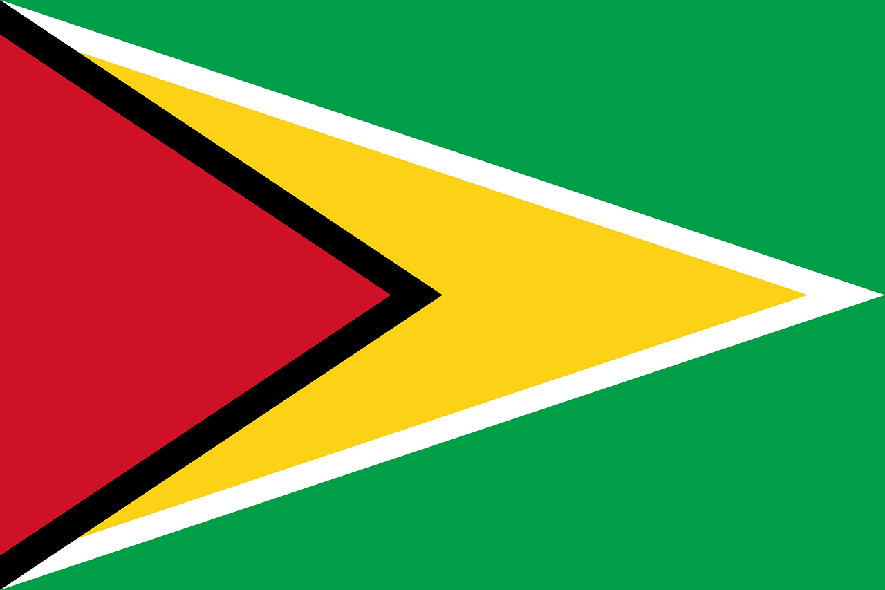 Guyana Flagge